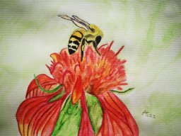 Drawn Pictures